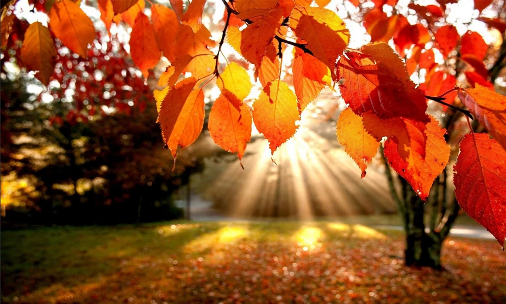 فصل ده: پایان